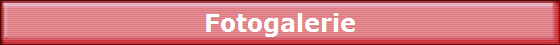 Fotogalerie
